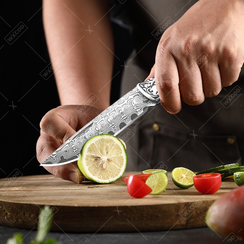 WXCOO Damascus Steel Folding P - Kitchen Gadgets Gift recension och pris